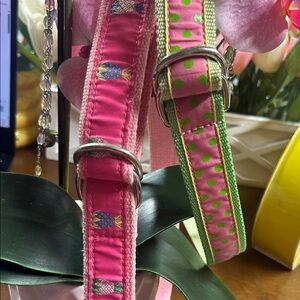 Douglas Paquette Colorful Belt Set